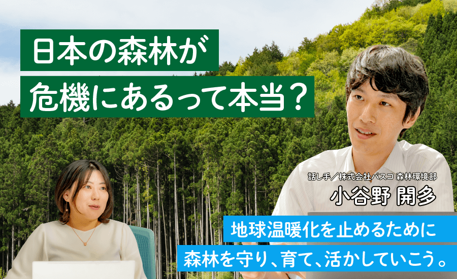 日本の森林が危機にあるって本当?