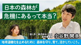 日本の森林が危機にあるって本当?