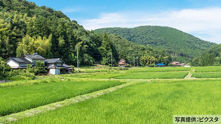 里山の風景