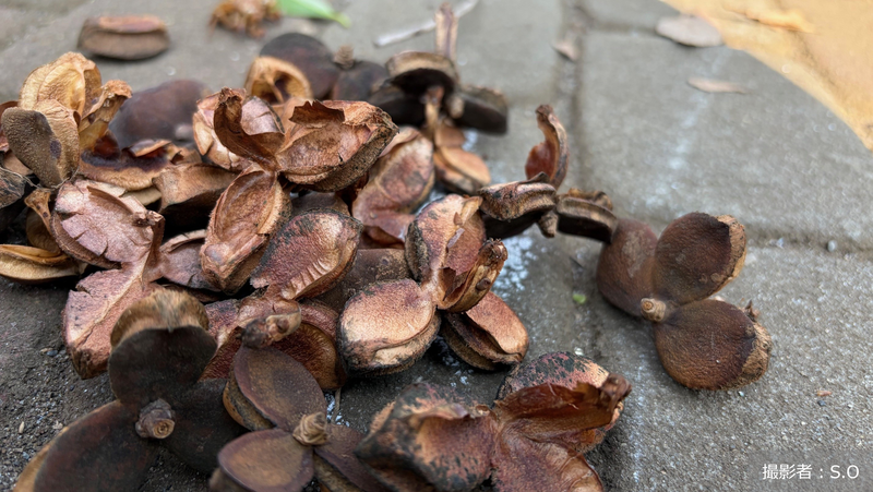 「ゴミ」が「宝物」に。アースデイに考えるモノの価値