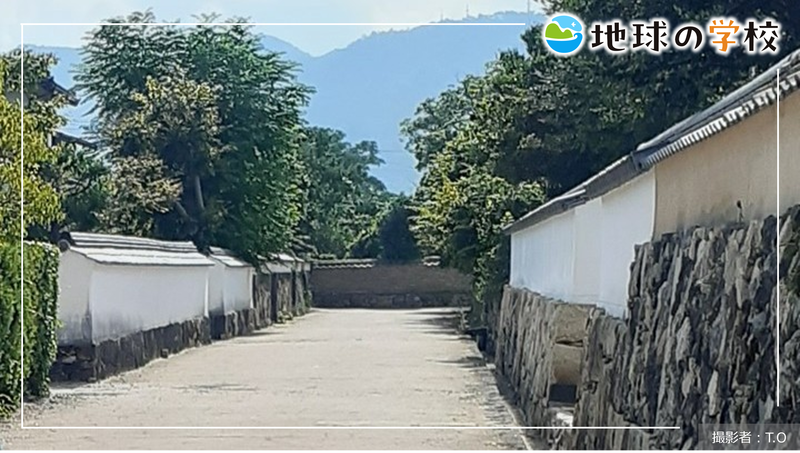 萩の伝統的建造物と夏みかんのある風景