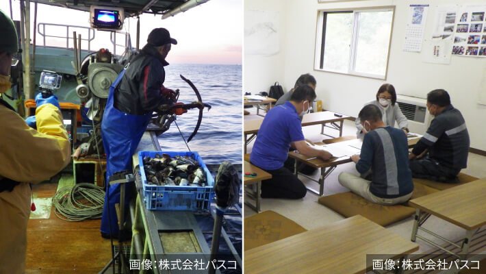 写真:漁獲物調査の様子(左)、漁業者へのヒアリングの様子(右)